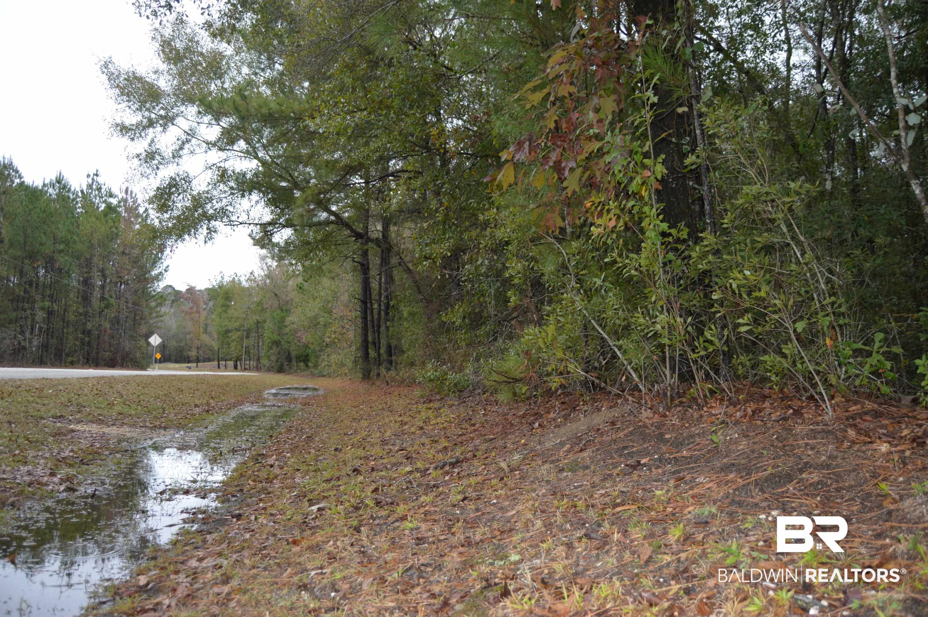 14 Marlin Street Stockton, AL 36579 - Photo 15 of 23 View of road with a view of trees