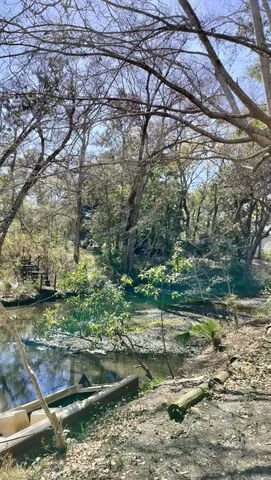 a view of a yard with plants