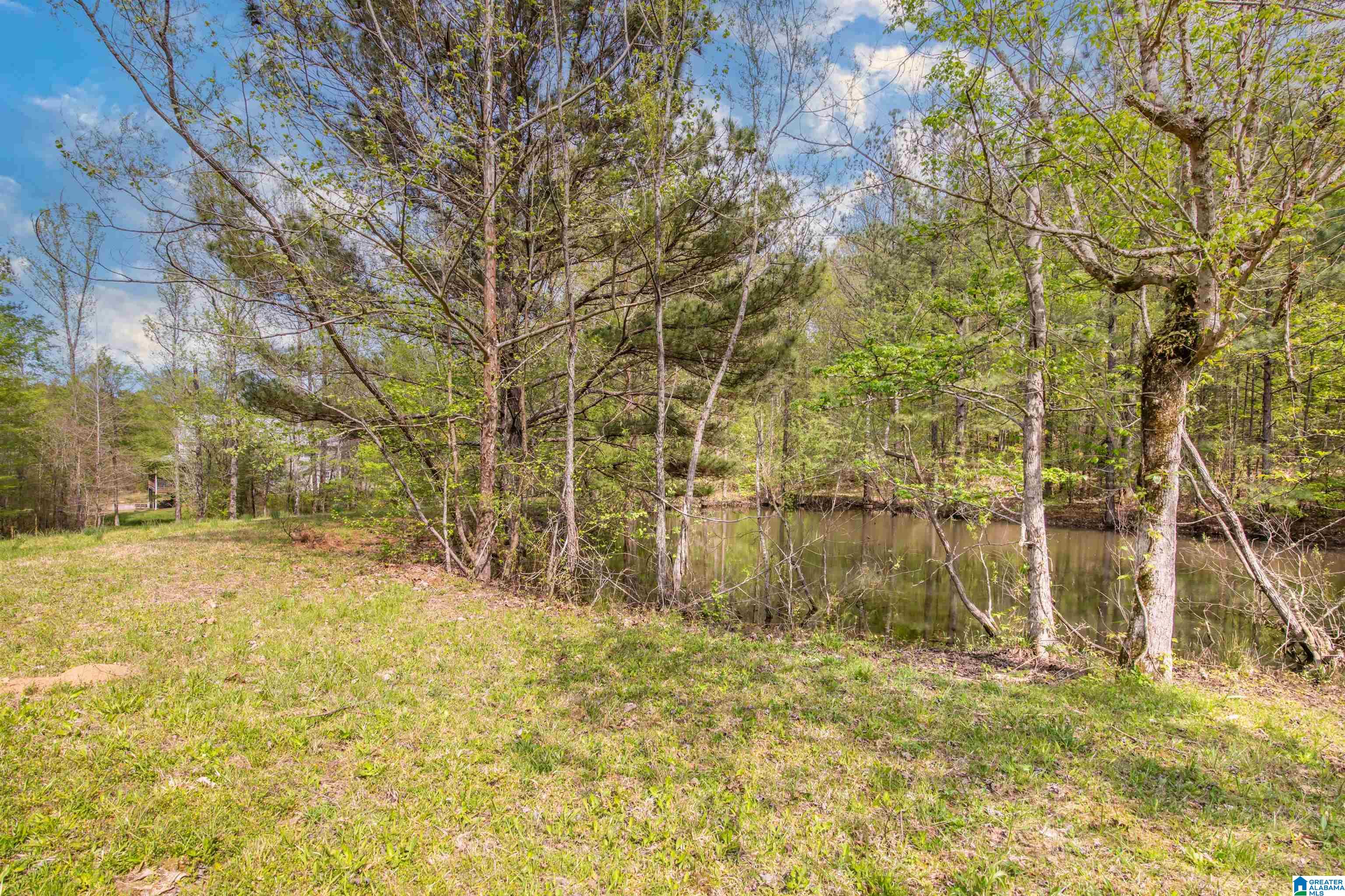 356 Beaver Ridge Circle Ashville, AL 35953 - Photo 36 of 40