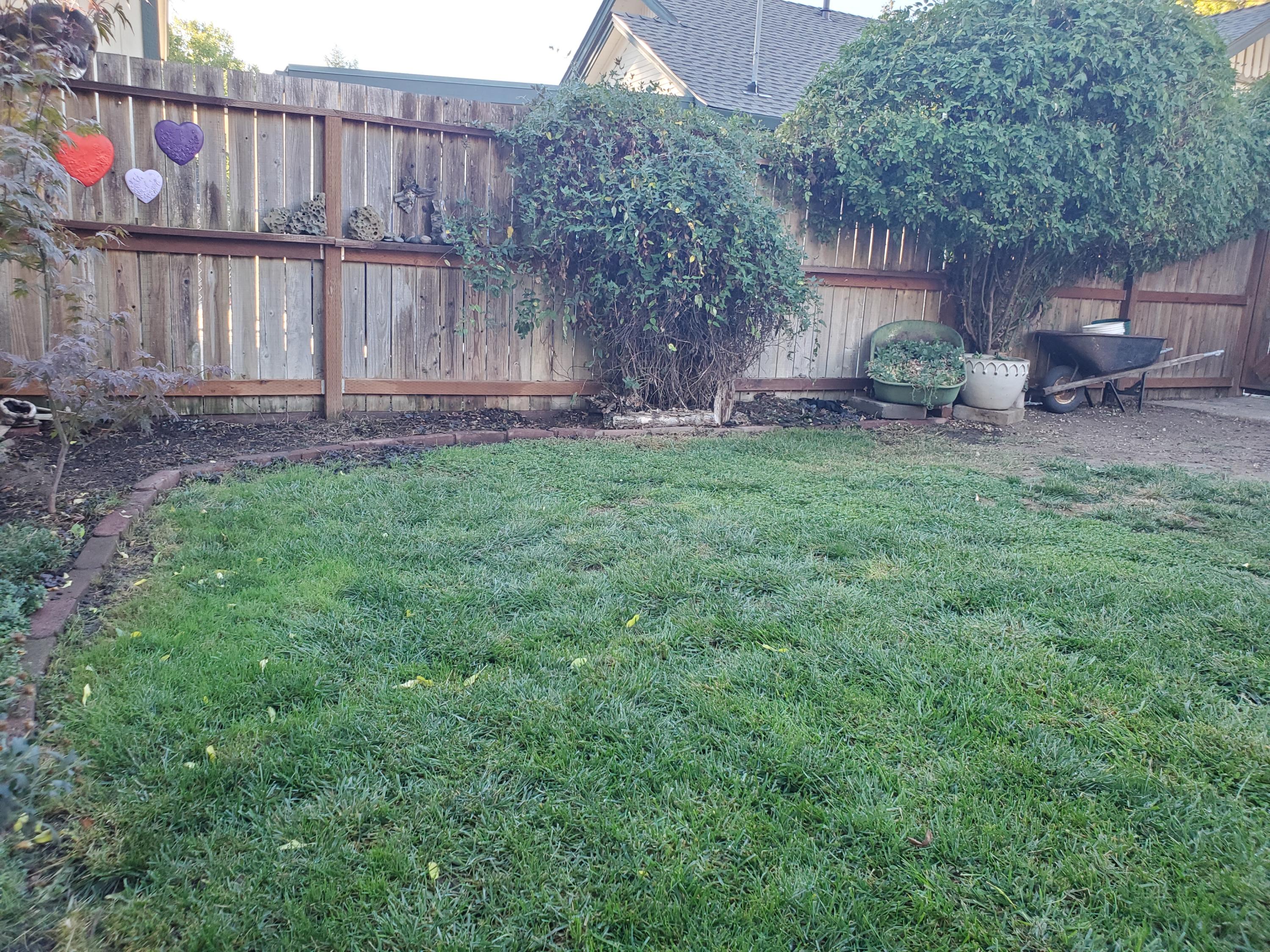 1032 Reddy Avenue Medford, OR 97504 - Photo 18 of 20 20201016_163554