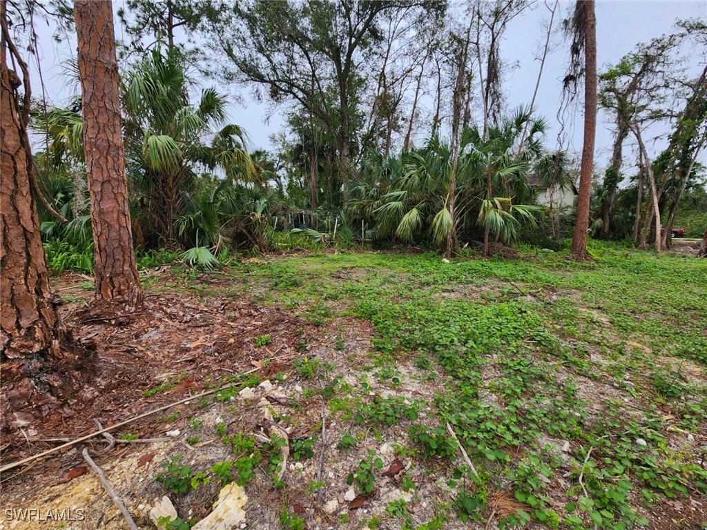2004 Canton Avenue Alva, FL 33920 - Photo 3 of 8 a view of a yard with a tree