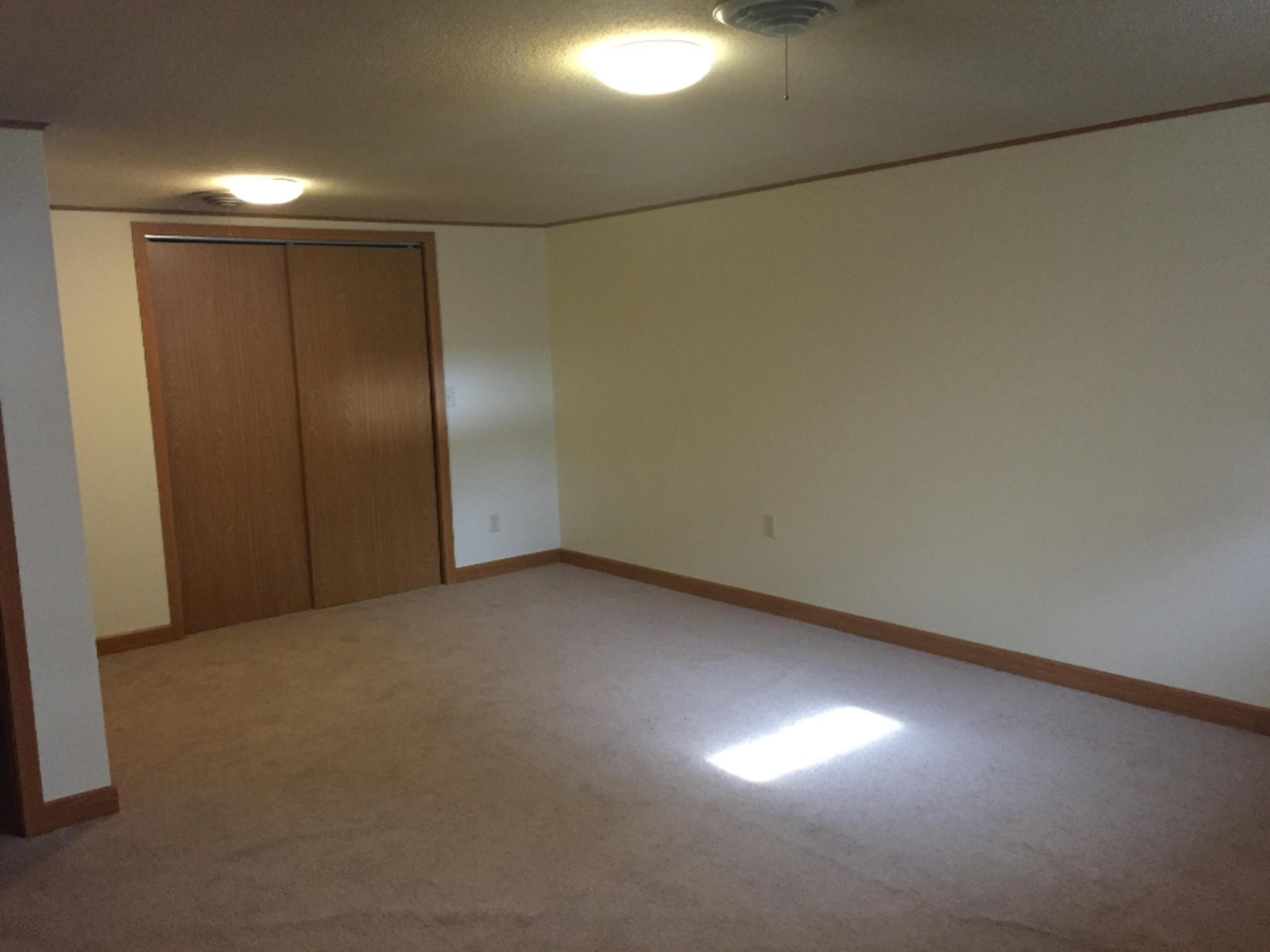 12980 Hudson Road Hudson, MI 49247 - Photo 25 of 29 rec room