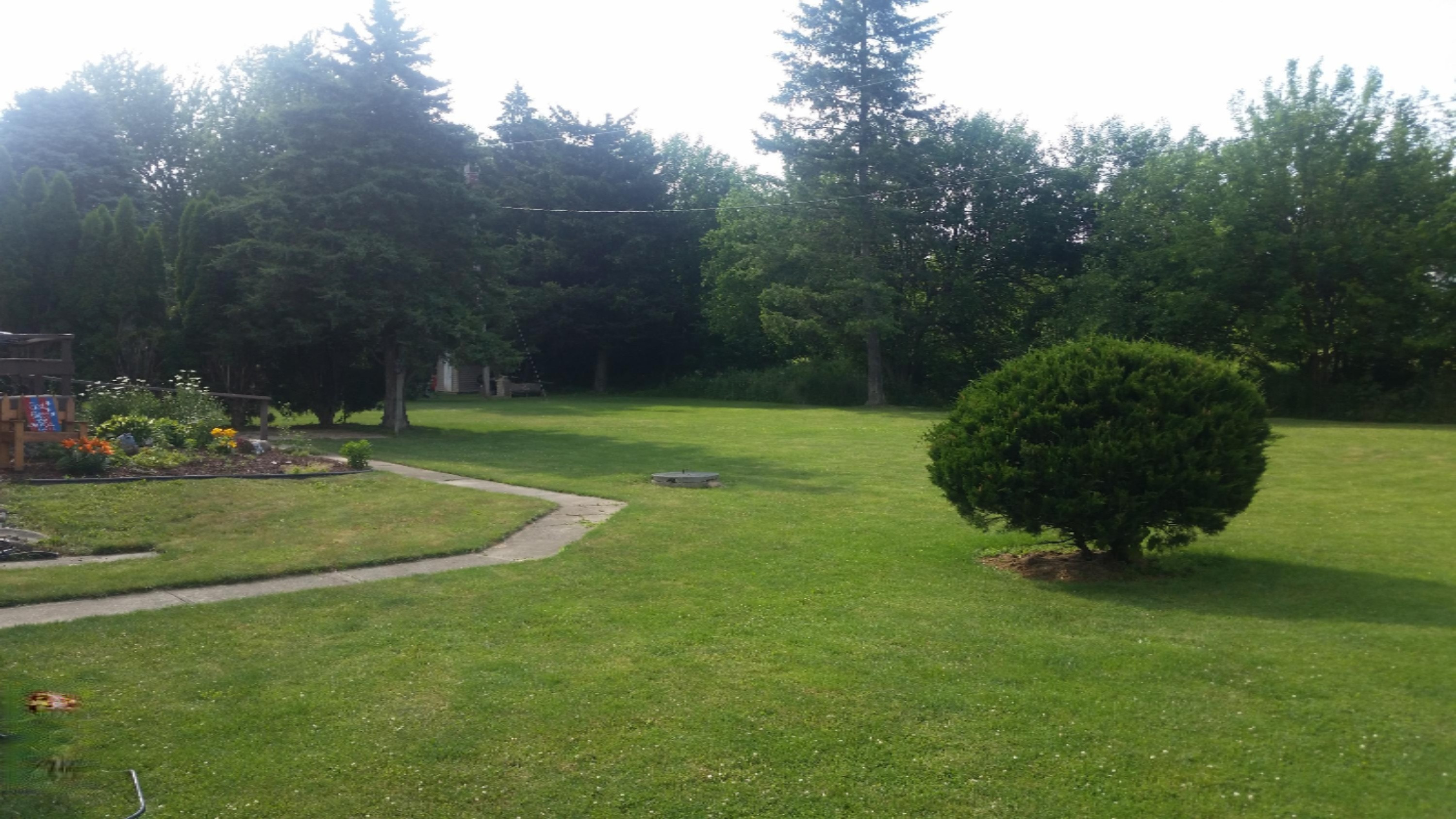 12980 Hudson Road Hudson, MI 49247 - Photo 5 of 29 back yard