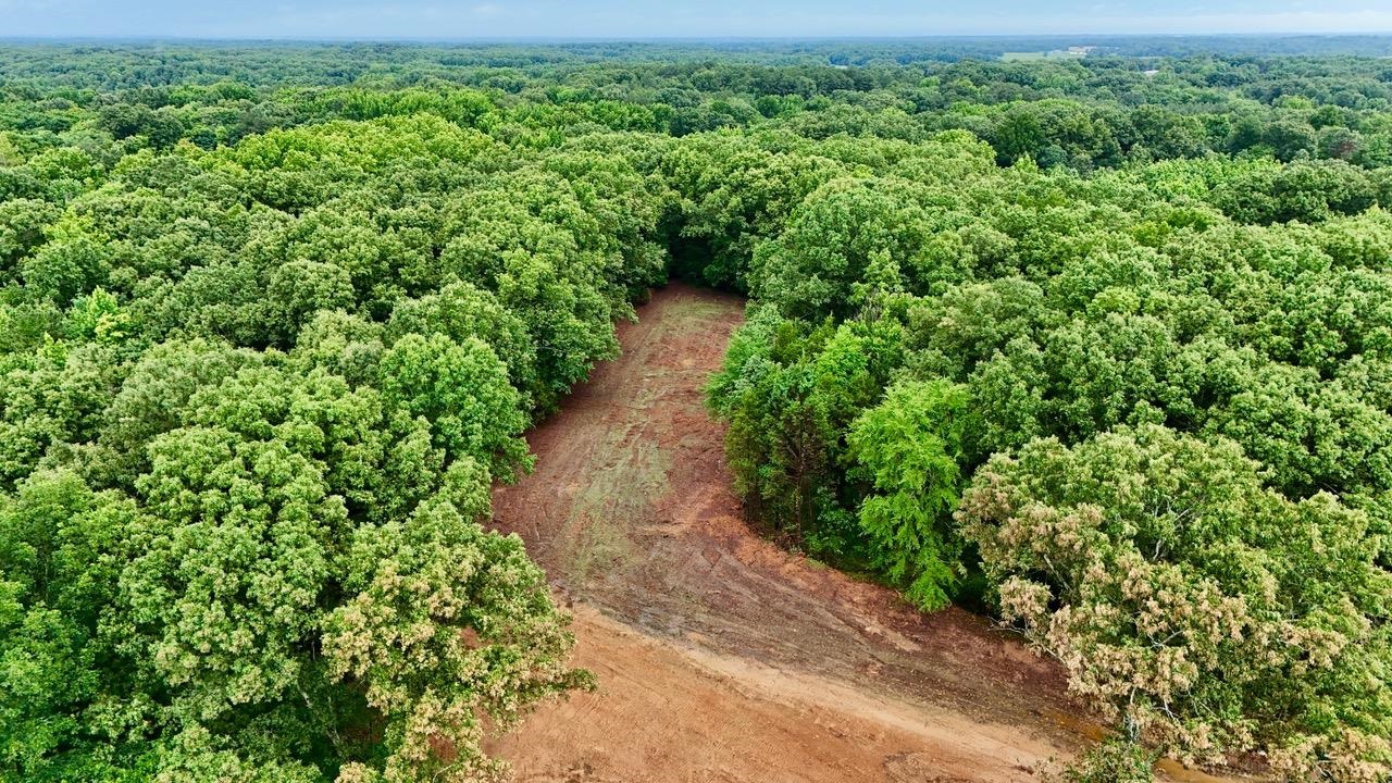 12 Plomar Williams Road Gadsden, TN 38337 - Photo 3 of 8