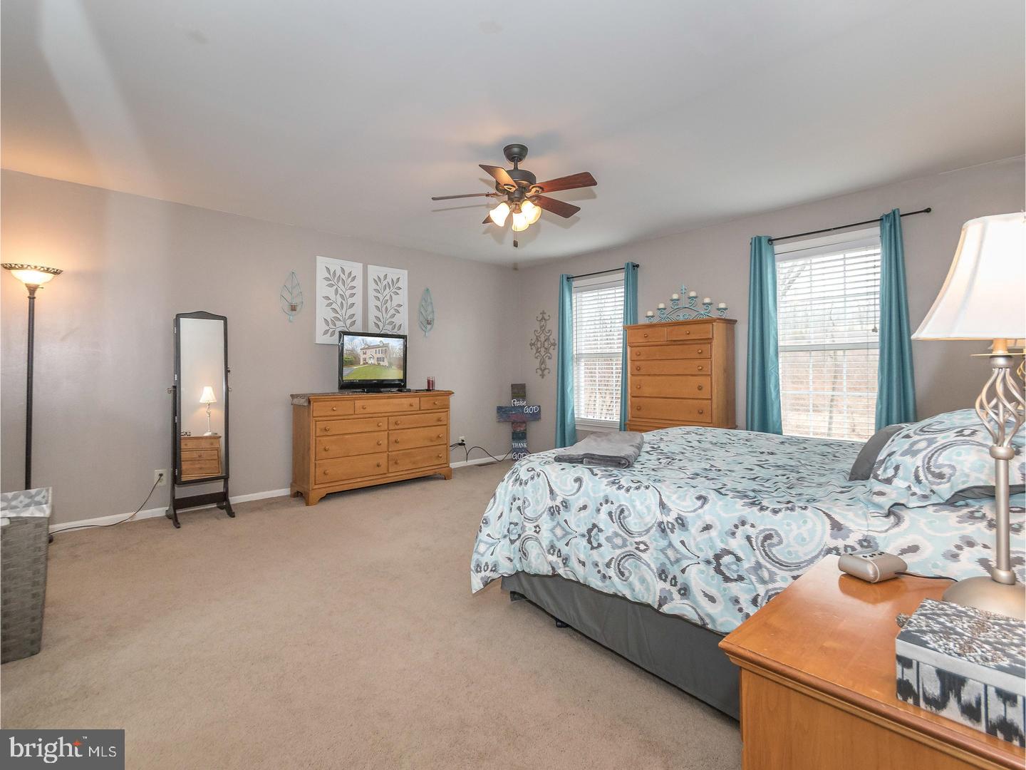 161 Papermill Road Barto, PA 19504 - Photo 11 of 23 Master Bedroom
