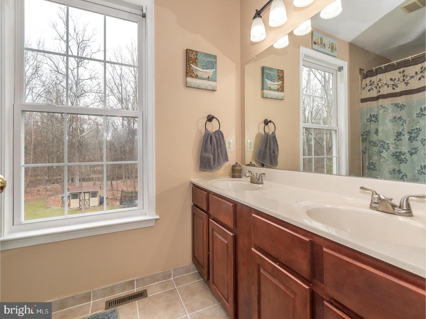 161 Papermill Road Barto, PA 19504 - Photo 12 of 23 Master Bathroom