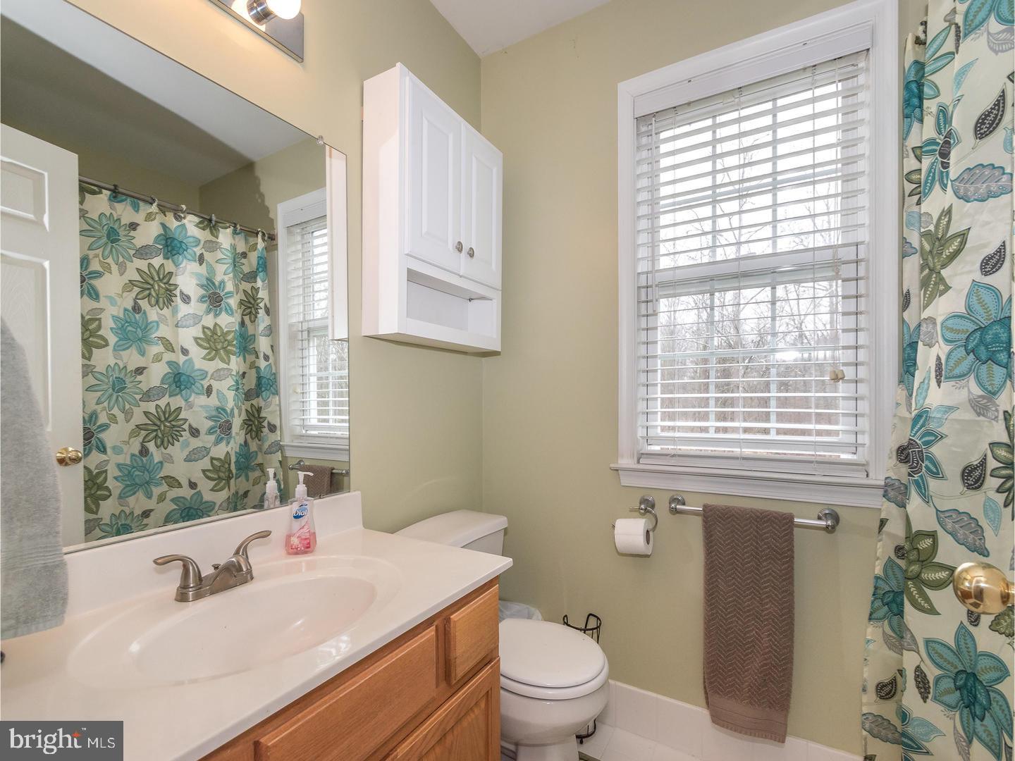161 Papermill Road Barto, PA 19504 - Photo 17 of 23 Bathroom