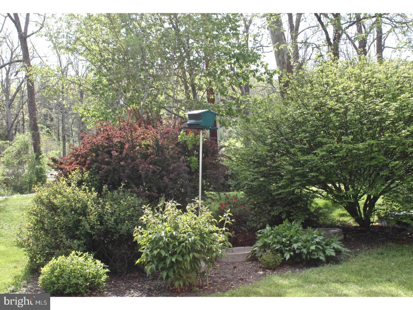 161 Papermill Road Barto, PA 19504 - Photo 20 of 23 Front Yard