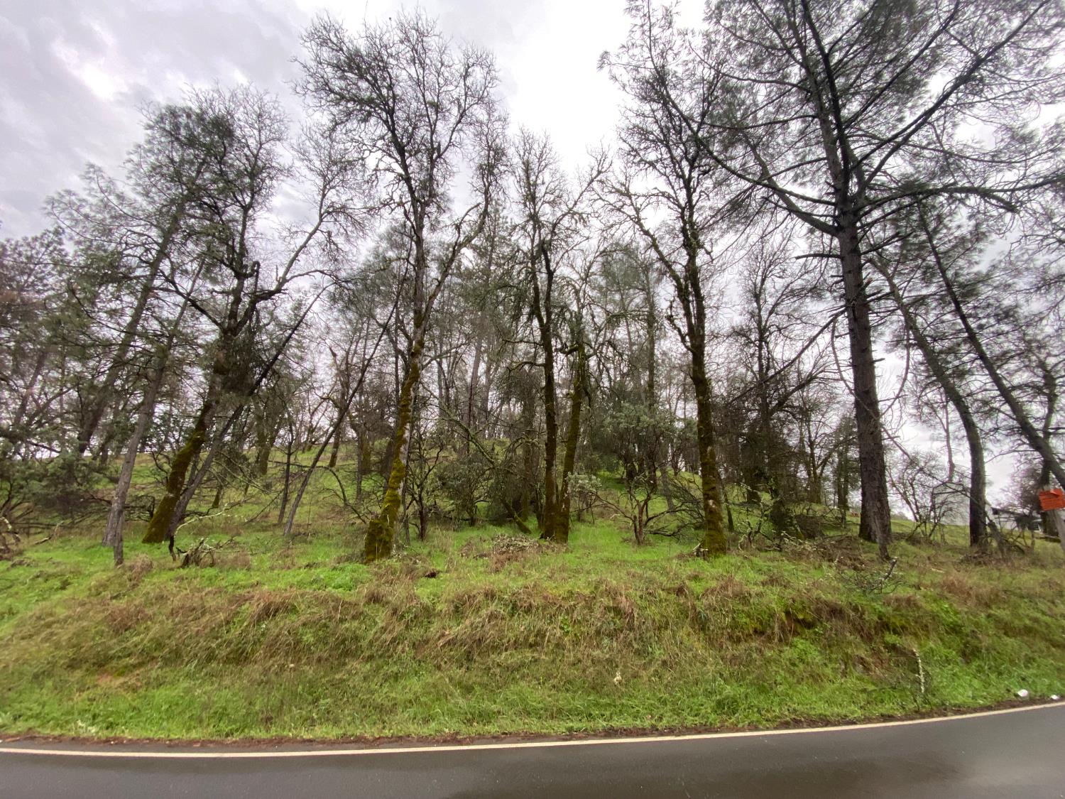 a view of outdoor space with trees all around