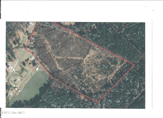 $320,000 | 1200 Anderson Road, Willard, NC 28478