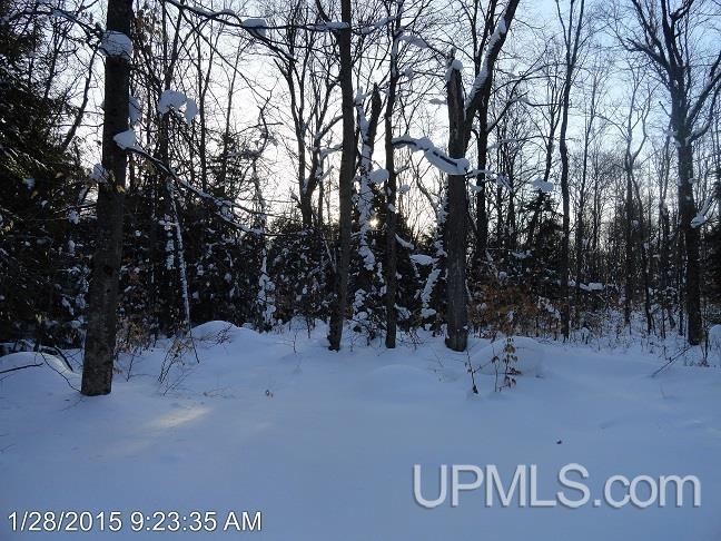 14392 N Crooked Lake Road Shingleton, MI 49884 - Photo 30 of 34