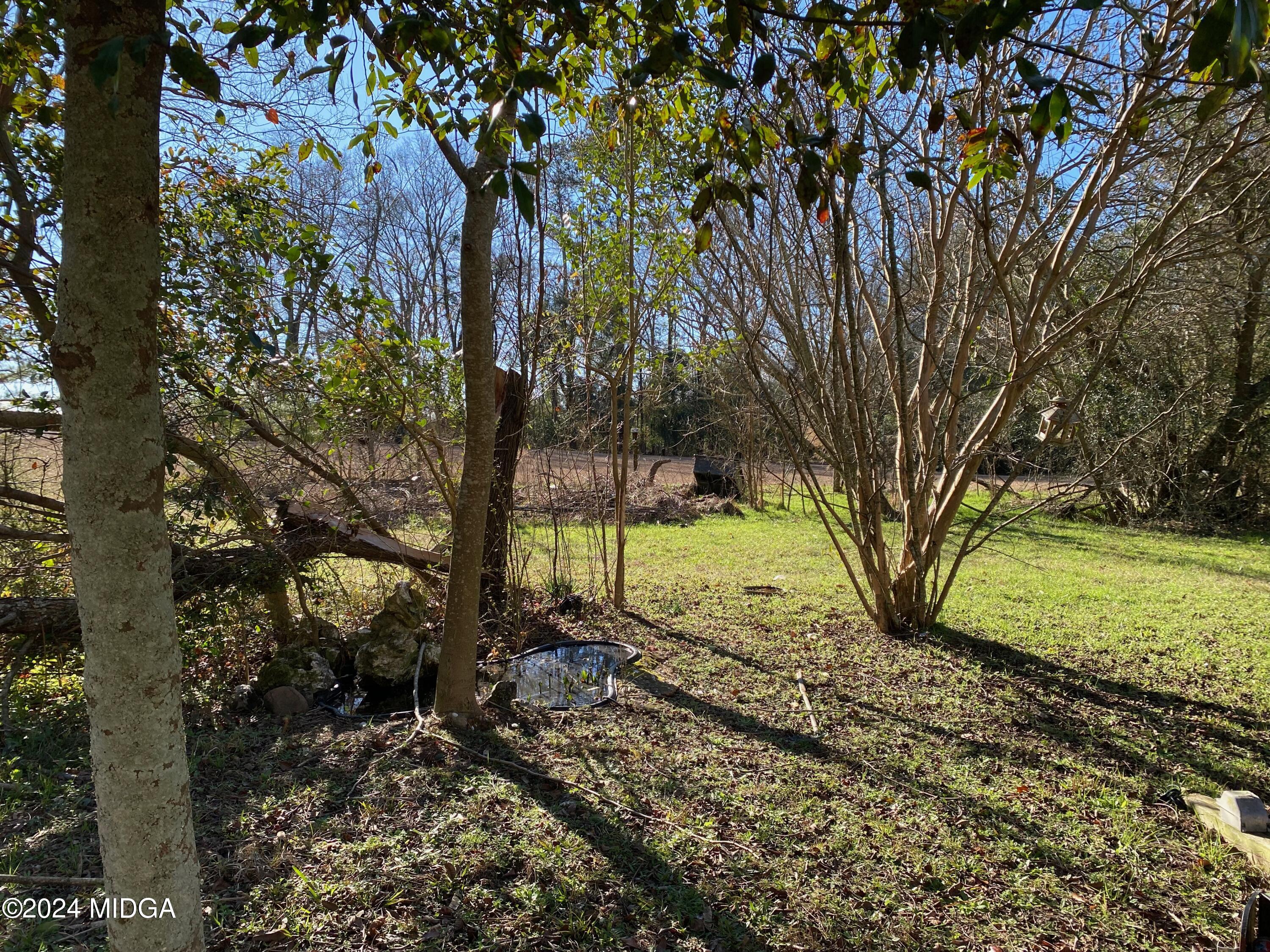 338 Camp Road Oglethorpe, GA 31068 - Photo 7 of 19 IMG_4025