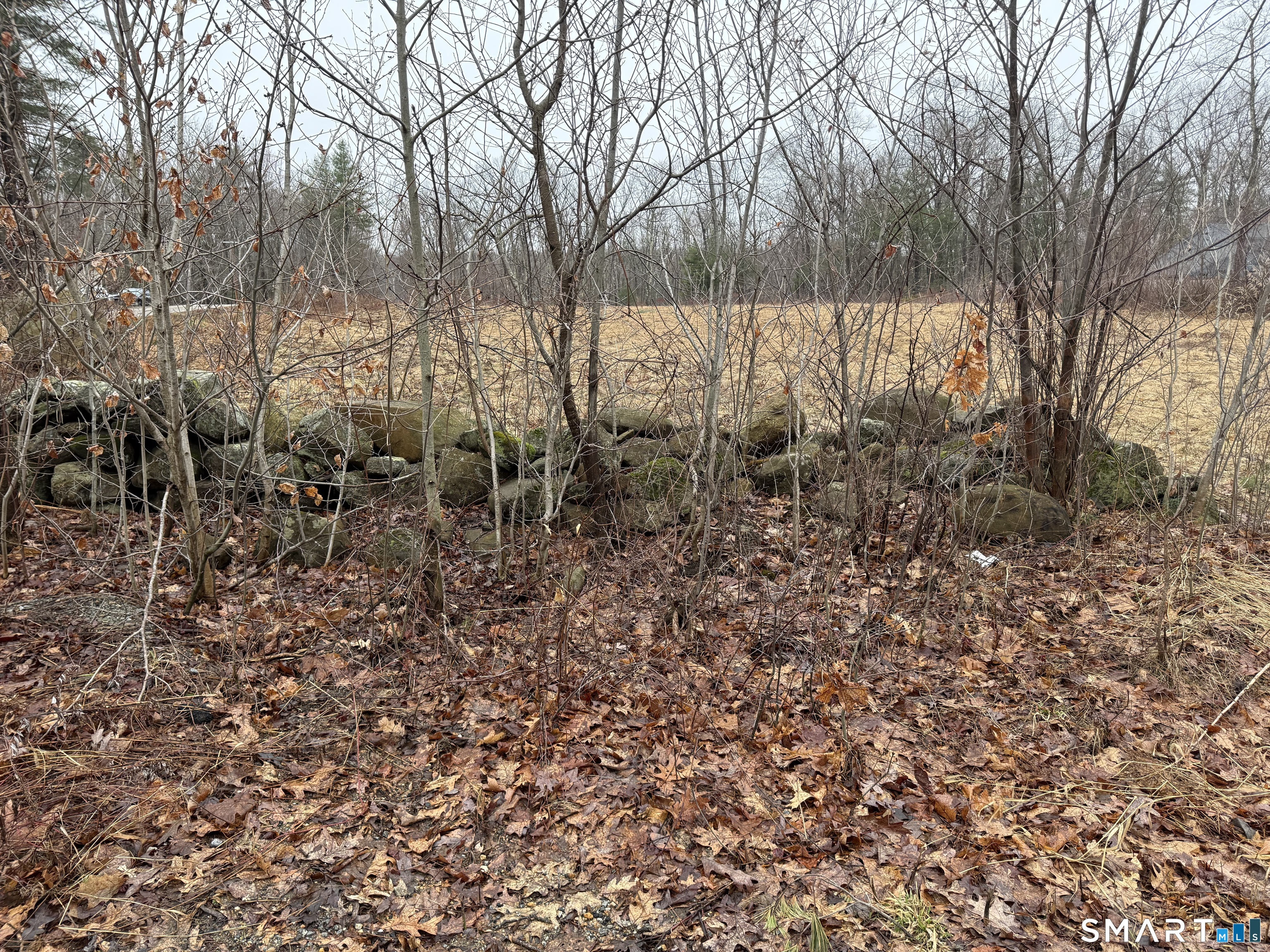 262 Hydeville Road Stafford, CT 06076 - Photo 6 of 7