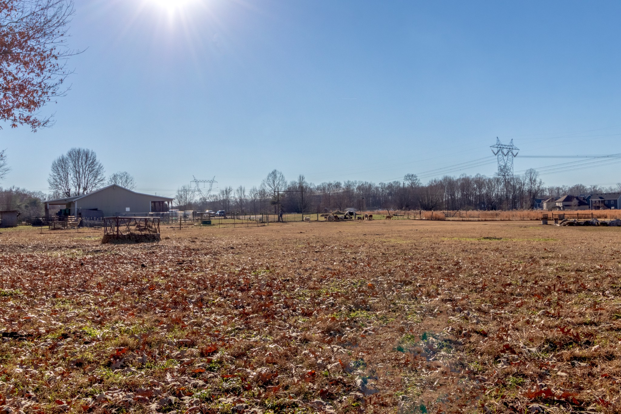 3837 Sango Road Clarksville, TN 37043 - Photo 12 of 31 a view of lake with city view