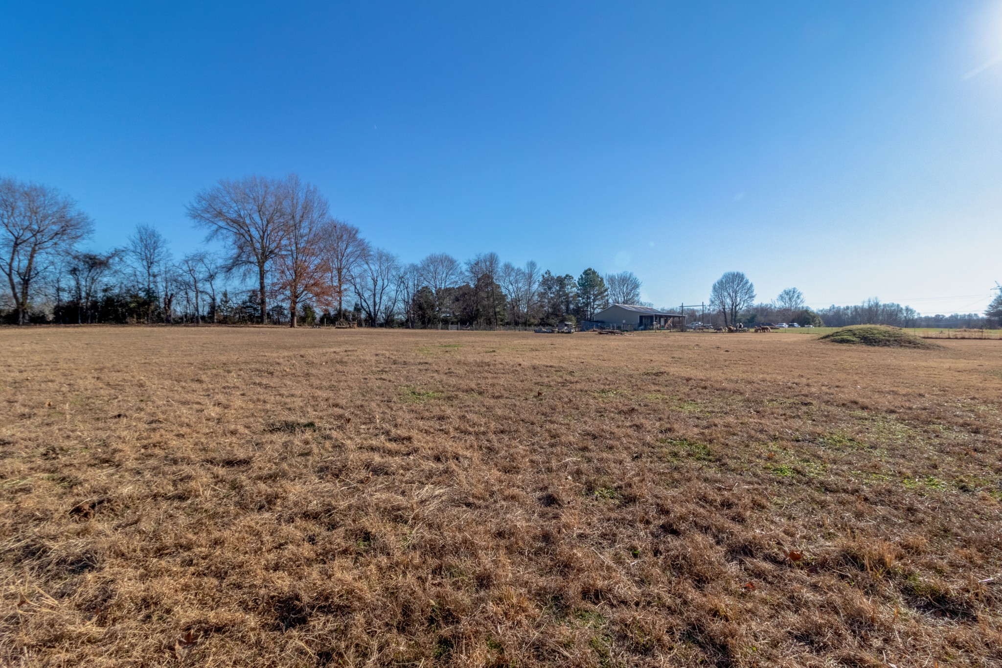 3837 Sango Road Clarksville, TN 37043 - Photo 15 of 31