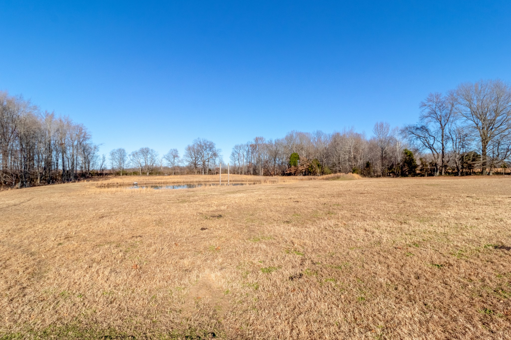 3837 Sango Road Clarksville, TN 37043 - Photo 17 of 31 a view of outdoor space with trees