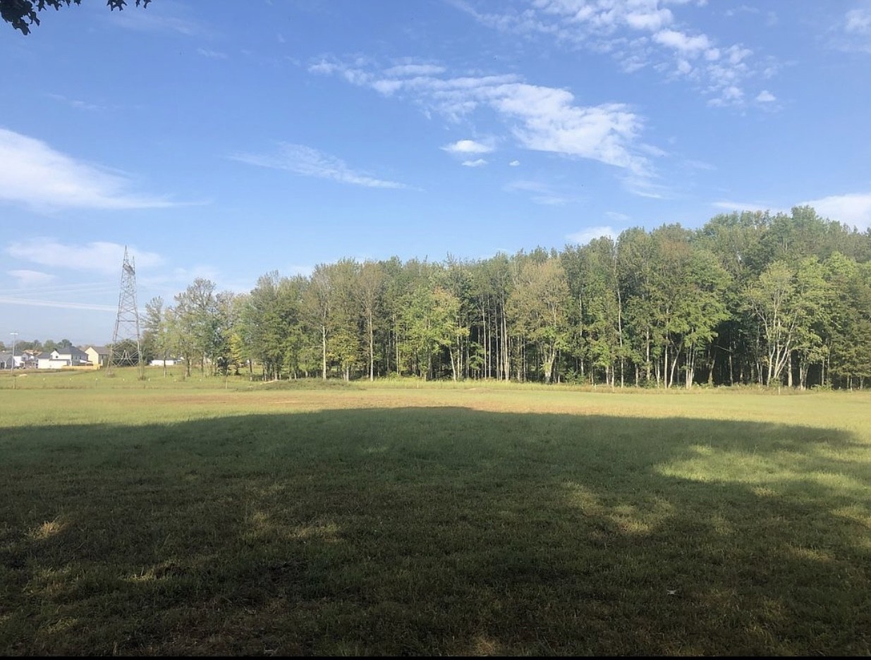 3837 Sango Road Clarksville, TN 37043 - Photo 3 of 31 a view of an outdoor space and yard