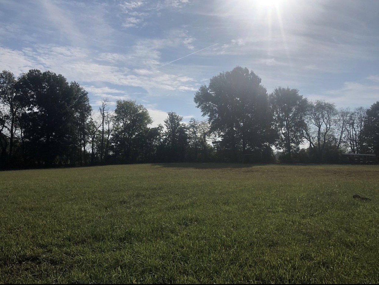3837 Sango Road Clarksville, TN 37043 - Photo 5 of 31 a view of yard and ocean