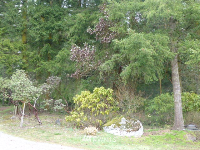 505 Diamond Point Road Sequim, WA 98382 - Photo 19 of 20 Gallery Image 19