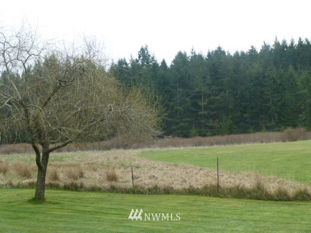 505 Diamond Point Road Sequim, WA 98382 - Photo 3 of 20 Gallery Image 3