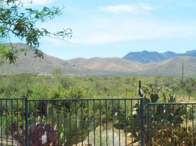 131 West Forrest Feezor Street Vail, AZ 85641 - Photo 11 of 12