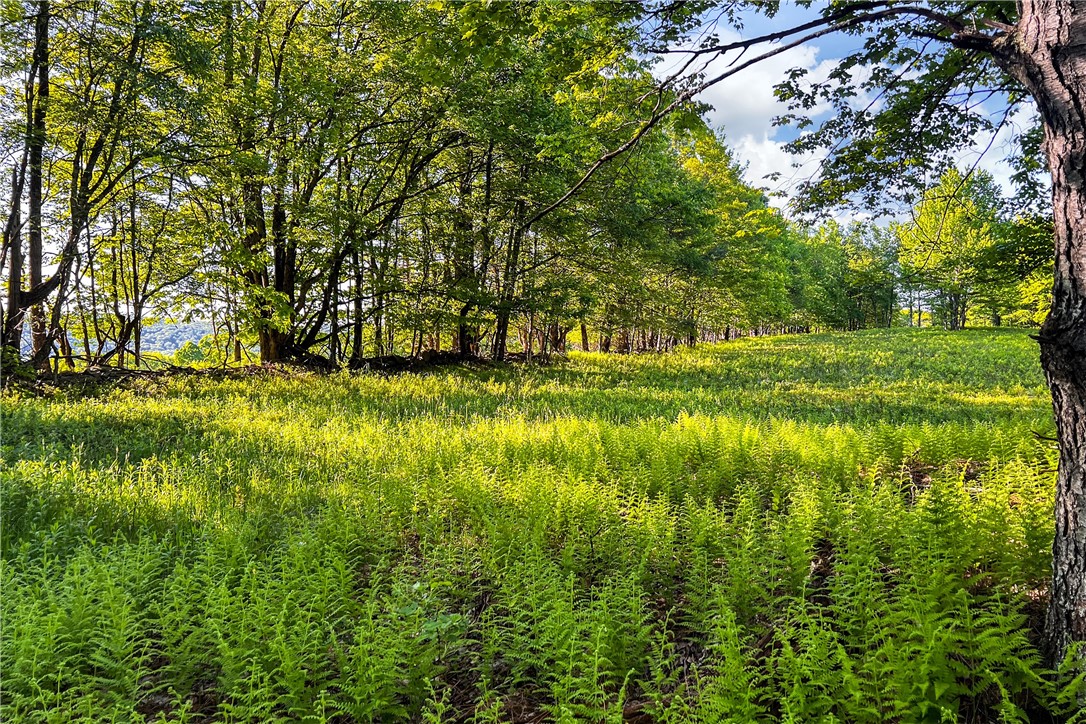 19-22 25 Frank Slawson Road Oneonta, NY 13820 - Photo 28 of 30