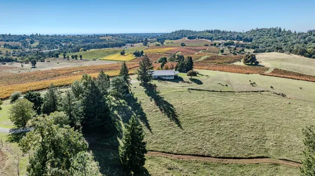 a view of a city and ocean view