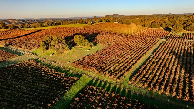a view of swimming pool from a terrace