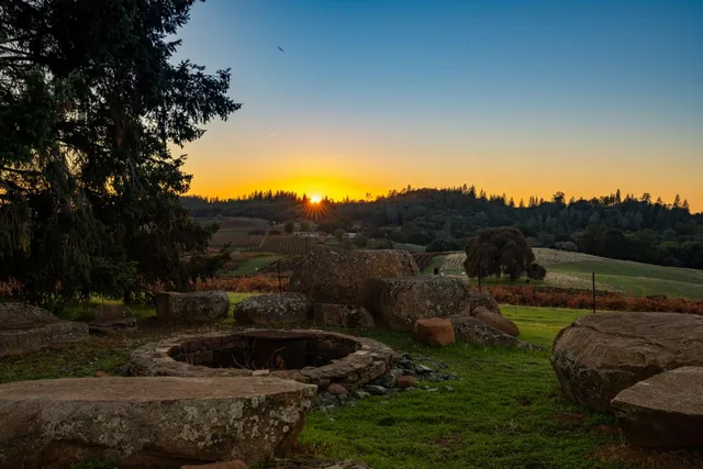 a view of a garden with a lake