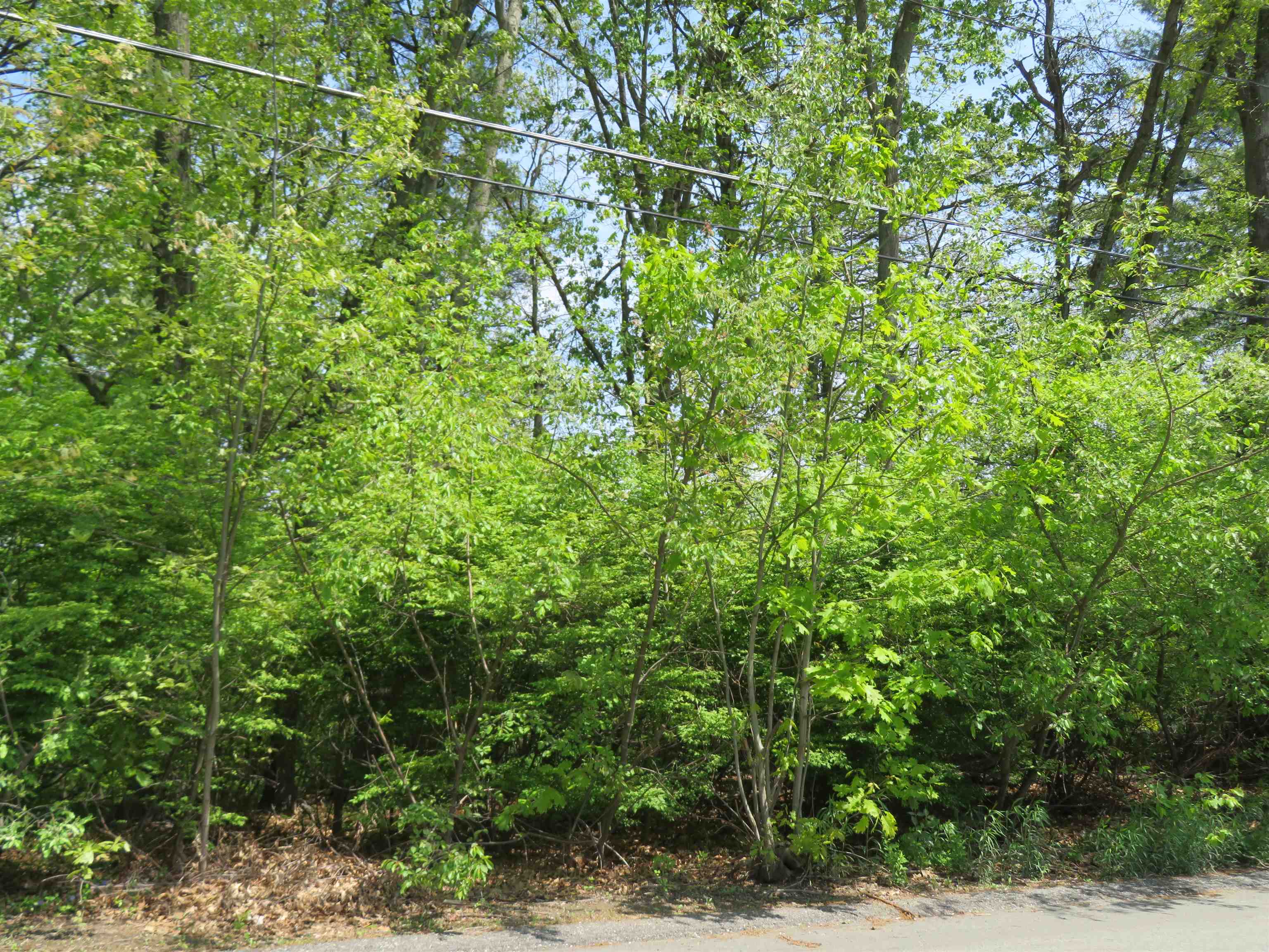 Lot 653 Farmington Road Nashua, NH 03060 - Photo 3 of 3 Gallery Image 3