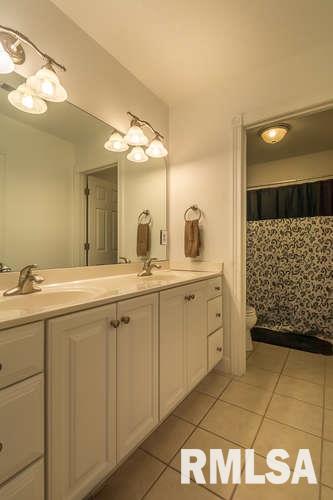 807 Wild Rose Road Wilton, IA 52778 - Photo 17 of 23 Gallery Image 17