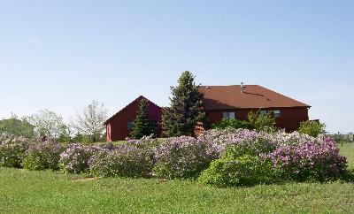 44328 Homestead Road Elizabeth, CO 80107 - Photo 1 of 1 Gallery Image 1