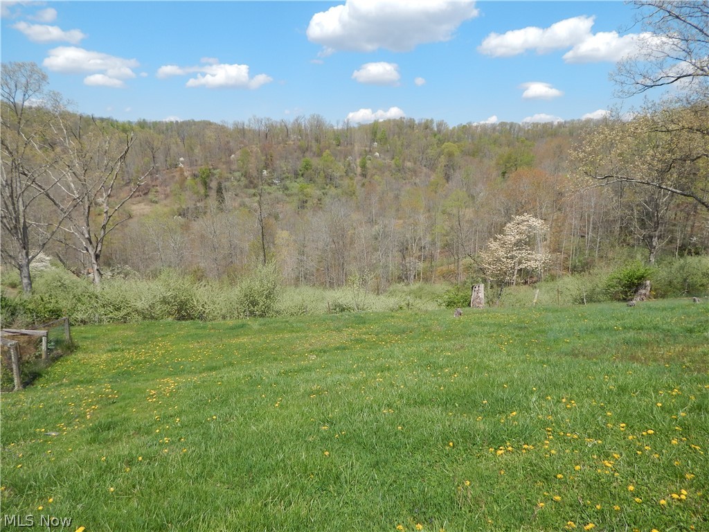 3856 Auburn Road Berea, WV 26327 - Photo 28 of 35