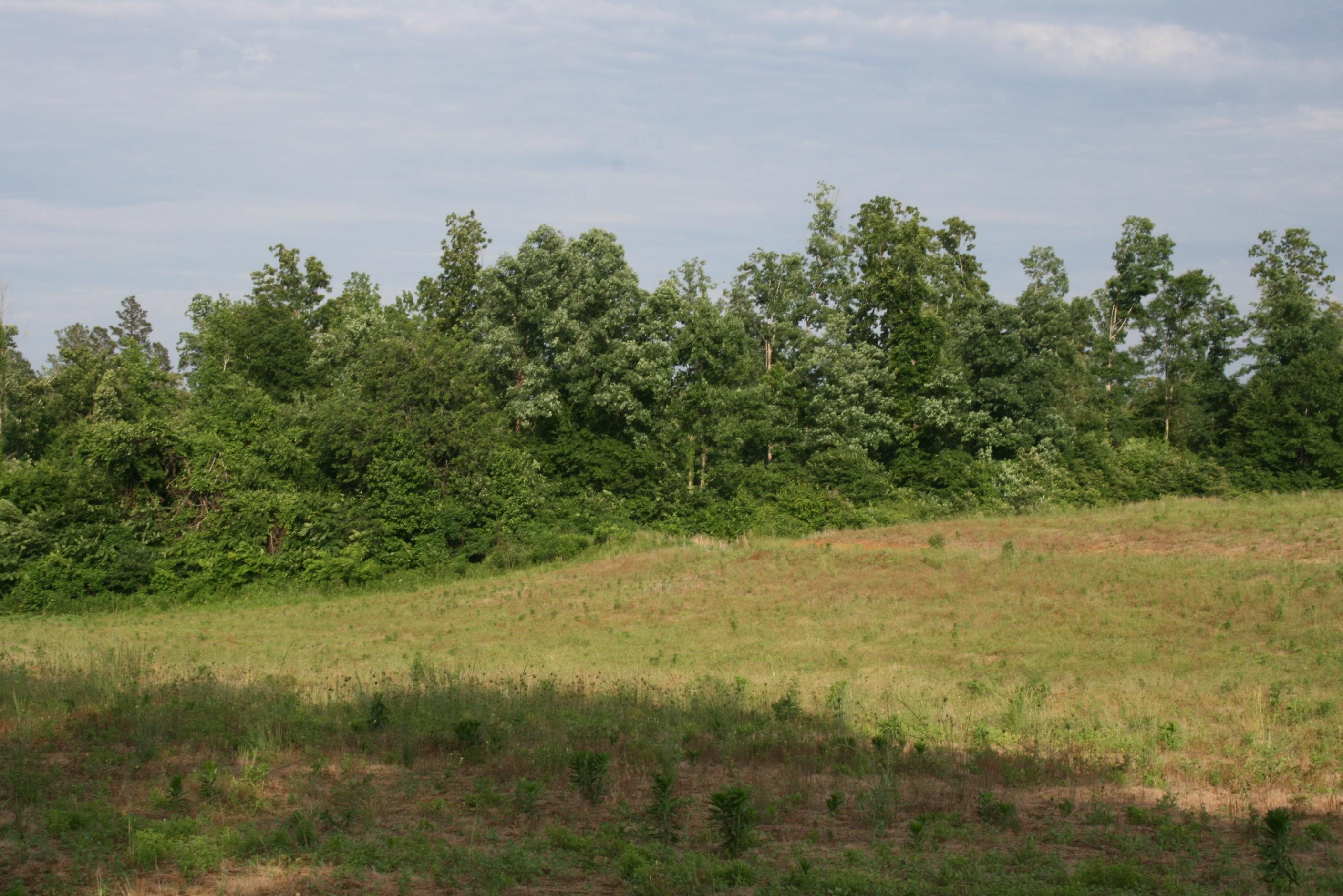 0 Sand Ridge Road Lexington, TN 38351 - Photo 13 of 22 a view of a field with an ocean view