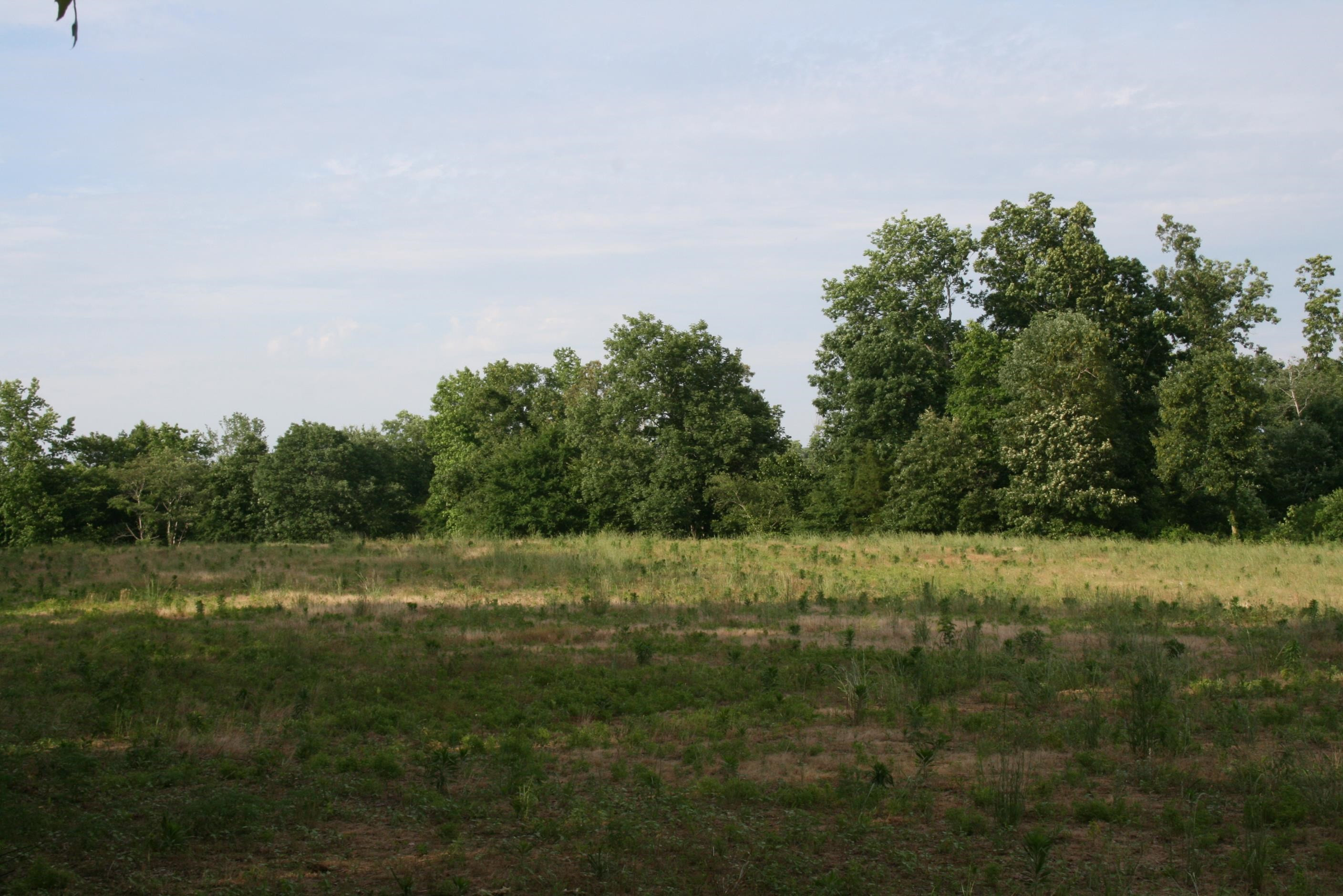 0 Sand Ridge Road Lexington, TN 38351 - Photo 15 of 22 a view of outdoor space and yard