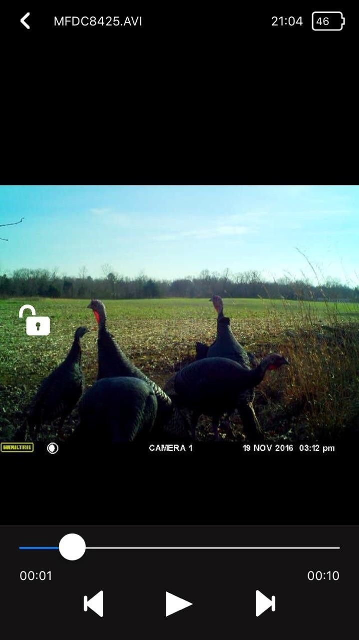 0 Sand Ridge Road Lexington, TN 38351 - Photo 17 of 22