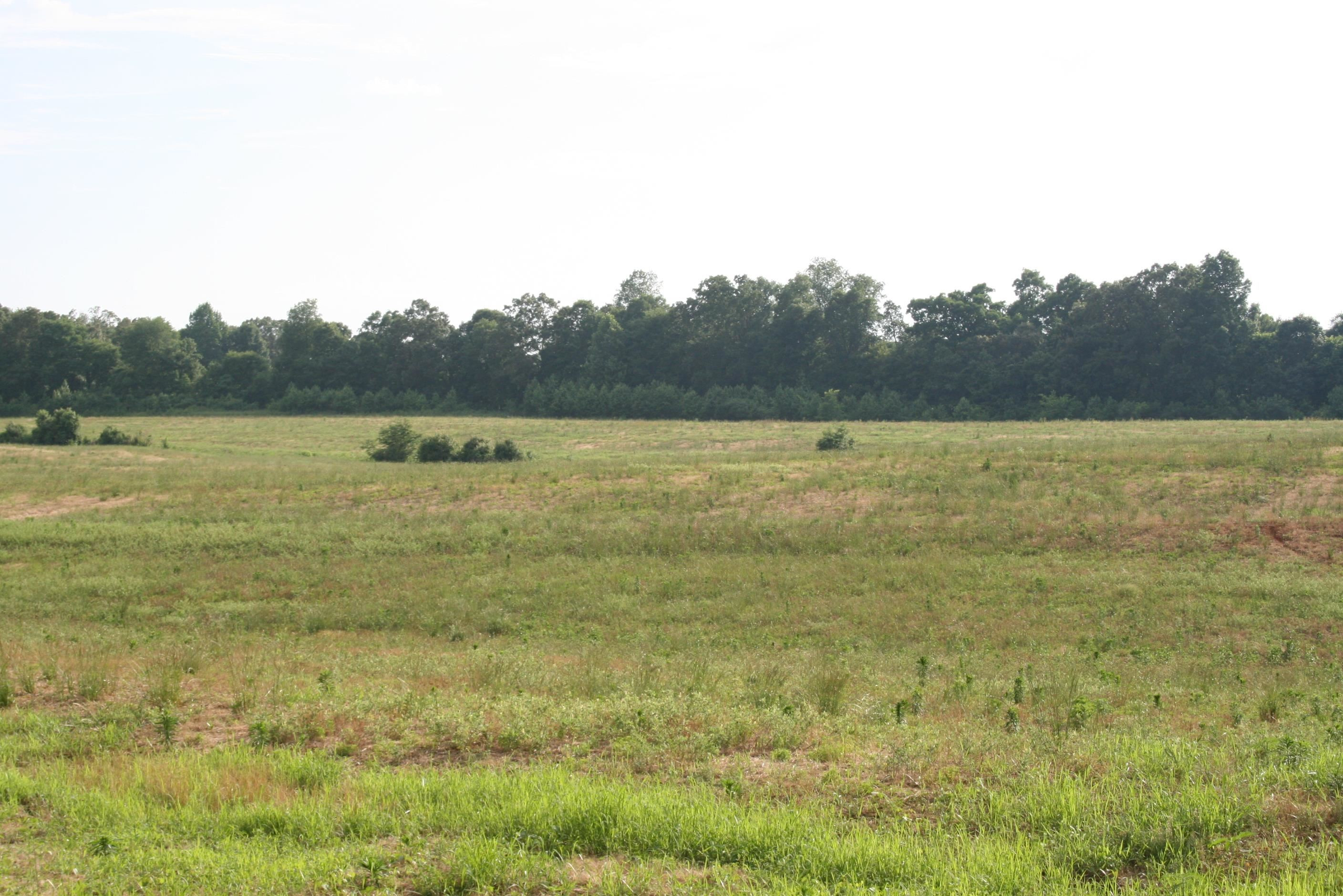 0 Sand Ridge Road Lexington, TN 38351 - Photo 21 of 22 a view of an ocean beach