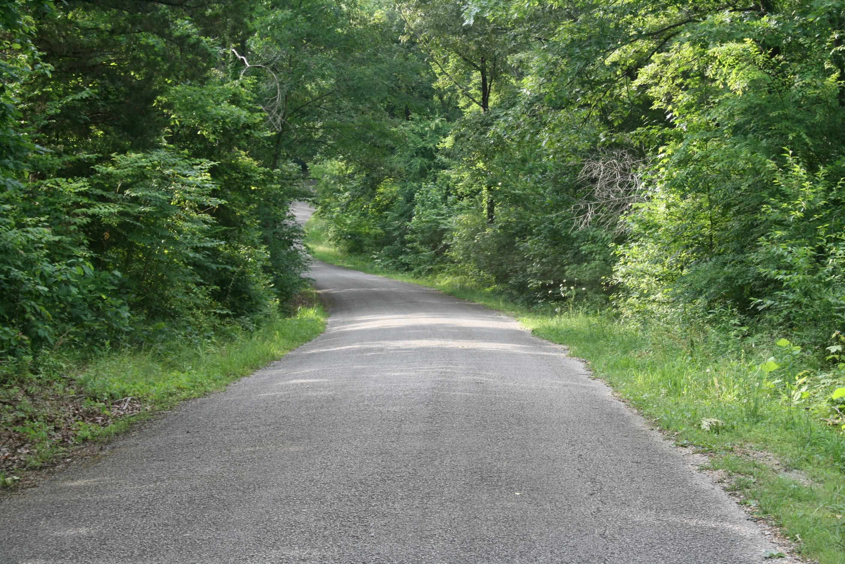 0 Sand Ridge Road Lexington, TN 38351 - Photo 10 of 22 a view of a yard with a plants