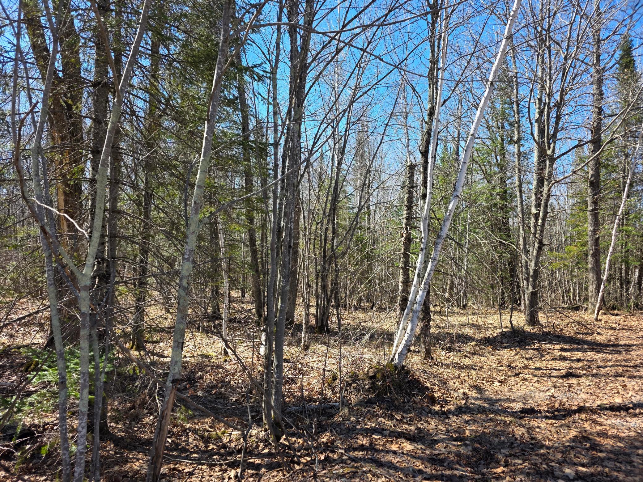 Tbd Stark Road Cloquet, MN 55720 - Photo 3 of 11