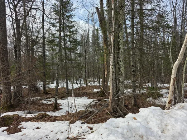 $95,000 | Tbd Stark Road, Cloquet, MN 55720