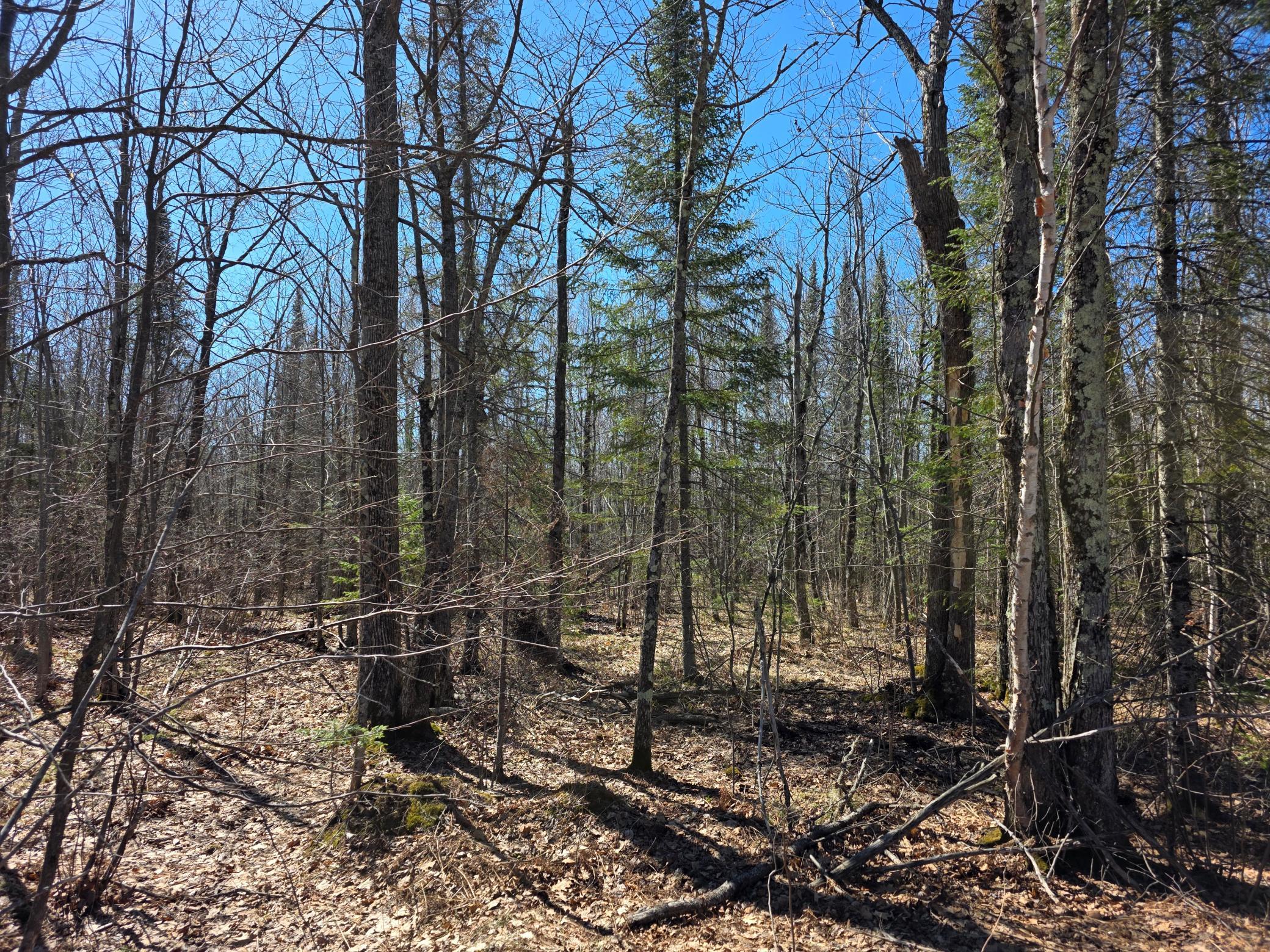 Tbd Stark Road Cloquet, MN 55720 - Photo 4 of 11