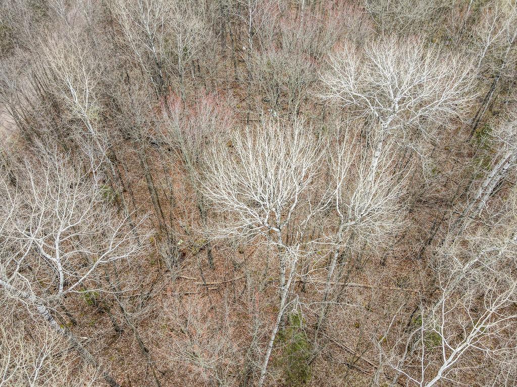 Tbd Stark Road Cloquet, MN 55720 - Photo 7 of 11