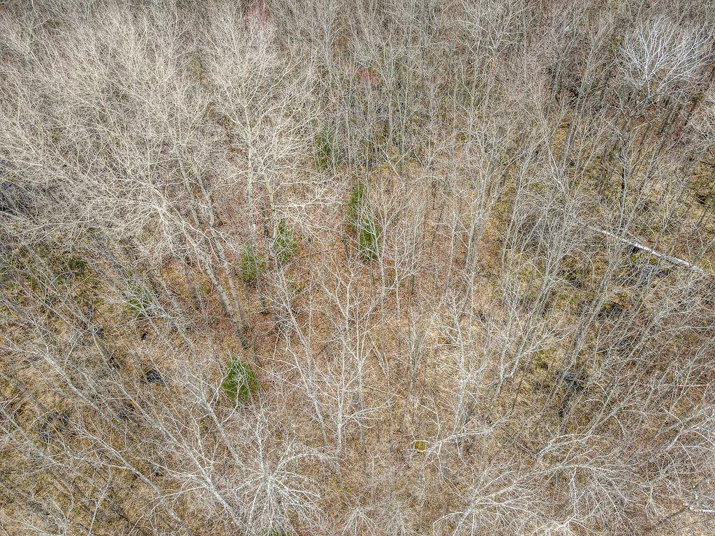 Tbd Stark Road Cloquet, MN 55720 - Photo 8 of 11