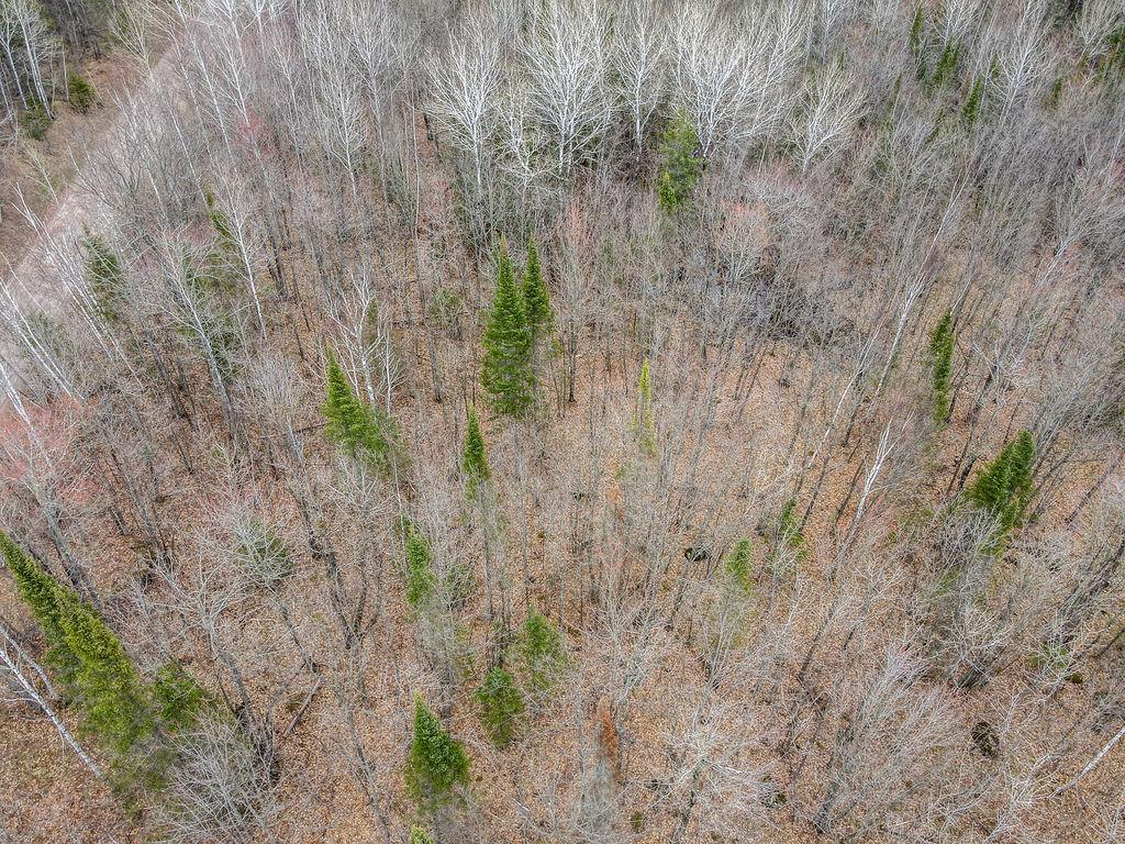 Tbd Stark Road Cloquet, MN 55720 - Photo 9 of 11