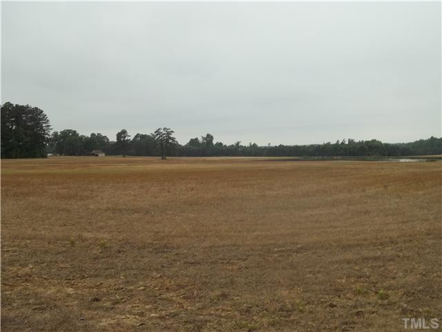 Jack Mitchell Road Zebulon, NC 27597 - Photo 3 of 5 Photo 3