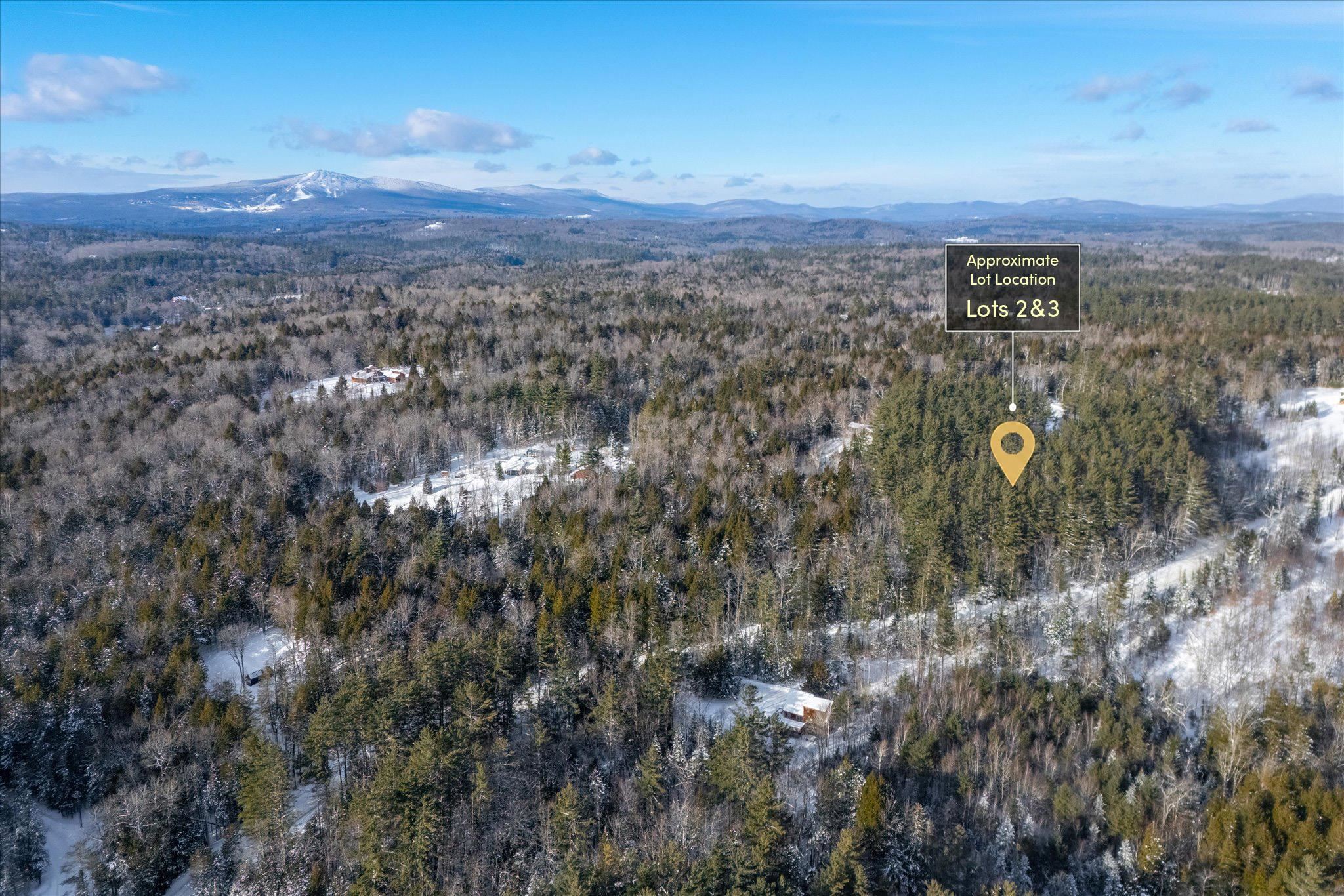 0 Wall Street, Unit LOT 2 & 3 Winhall, VT 05340 - Photo 4 of 5