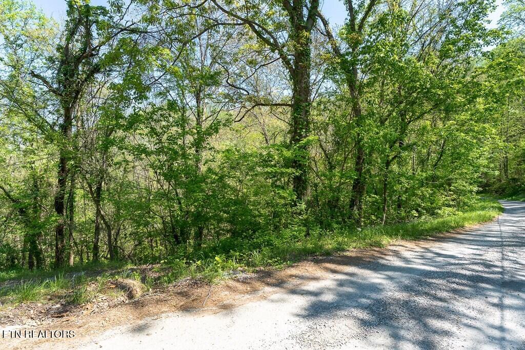 94 Austin Bottom Road Baxter, TN 38544 - Photo 16 of 19 243475_22