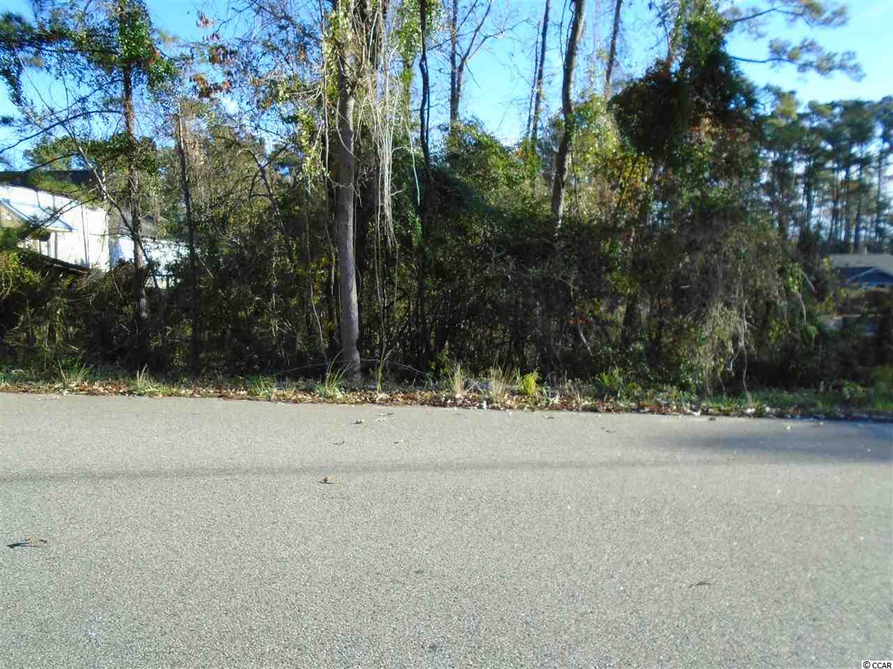 4317 Landing Road Little River, SC 29566 - Photo 1 of 1 Gallery Image 1