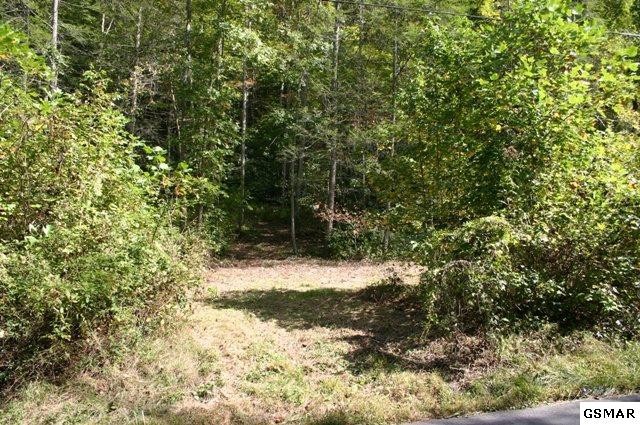 2 Rocky Flats Road Cosby, TN 37722 - Photo 1 of 1 Gallery Image 1