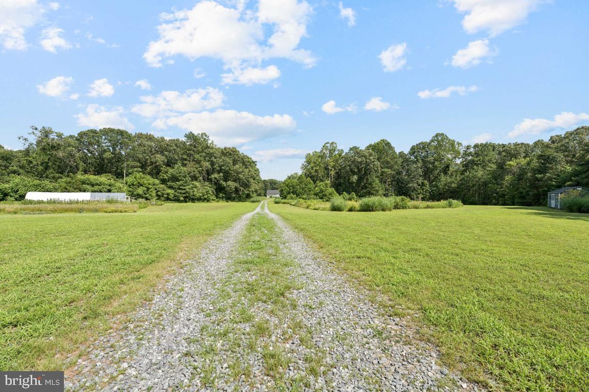 18167 Locust Grove Road Bowling Green, VA 22427 - Photo 1 of 25 Gallery Image 1
